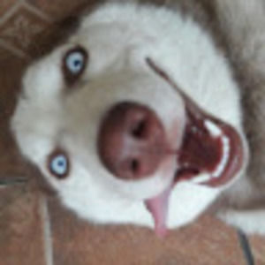 Meet your Posher, Zatchbell2702